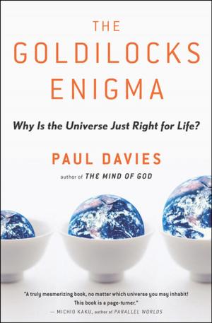 Book cover of The Goldilocks Enigma