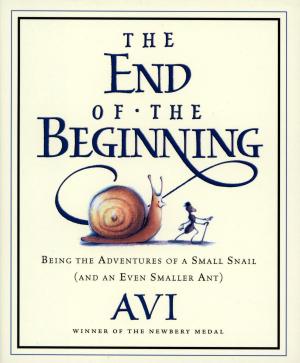 Cover of the book The End of the Beginning by Robert Lipsyte
