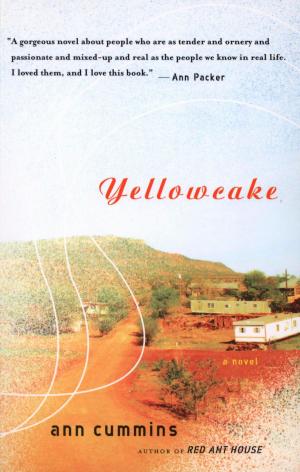 Book cover of Yellowcake