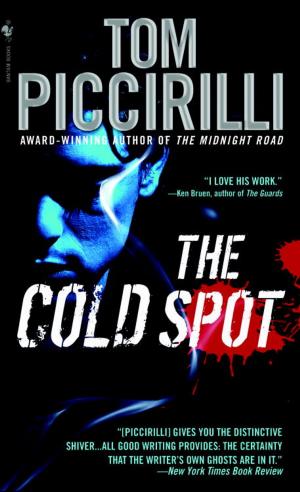 Cover of the book The Cold Spot by P.S. Finley
