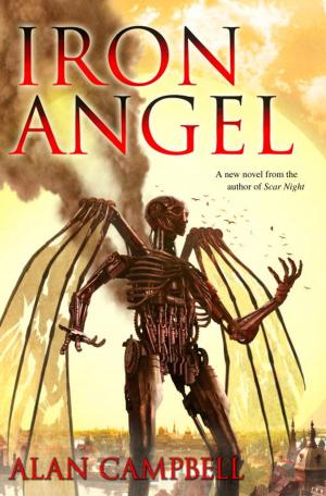 Cover of the book Iron Angel by Robert Goddard