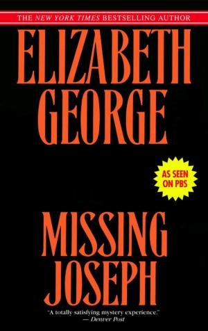 Cover of the book Missing Joseph by Robert V. S. Redick