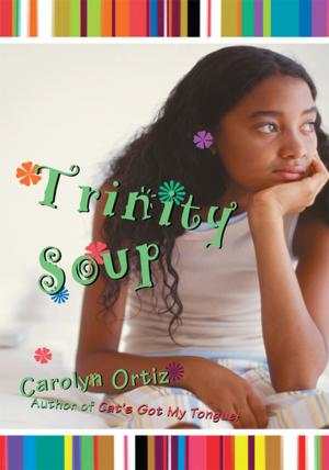 Cover of the book Trinity Soup by Carlos Páez S.