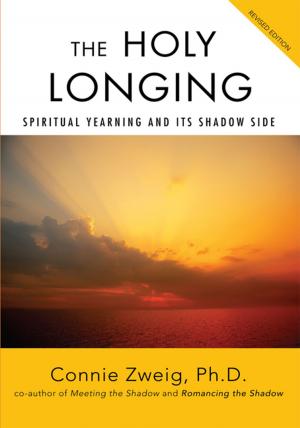 Cover of the book The Holy Longing by Michael Kaye