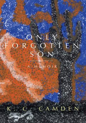 Cover of the book Only Forgotten Son by Richard E. Deichmann M.D.