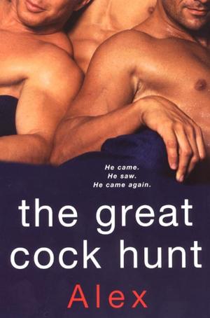 Cover of the book The Great Cock Hunt by Jackie Ashenden