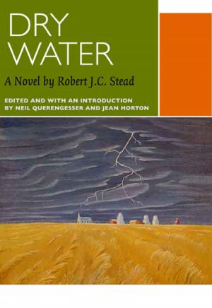 Book cover of Dry Water