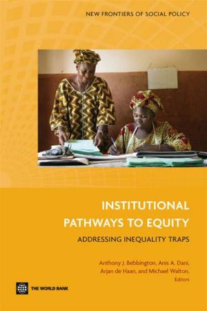 Book cover of Institutional Pathways To Equity: Addressing Inequality Traps