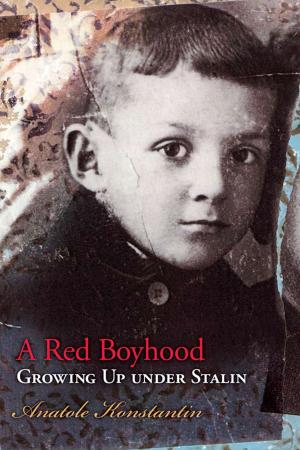 Cover of the book A Red Boyhood by Knut Hamsun