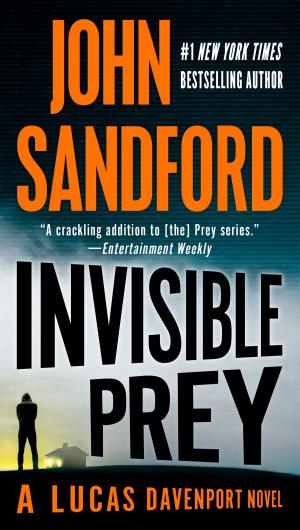 Cover of the book Invisible Prey by Christine Feehan