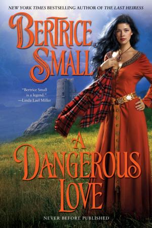 Cover of the book A Dangerous Love by Susan Mallery