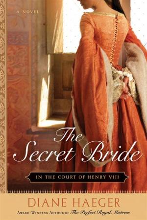 Cover of the book The Secret Bride by Barbara Metzger