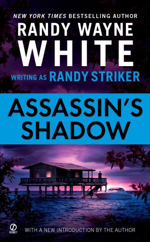 Book cover of Assassin's Shadow