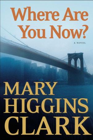 Cover of the book Where Are You Now? by Virginia Heffernan