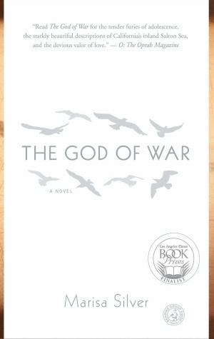 Cover of the book The God of War by Paul Lindsay