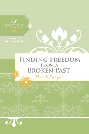Cover of the book Finding Freedom from a Broken Past by Amy Peterson