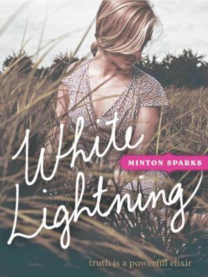 Cover of the book White Lightning by Robin Lee Hatcher