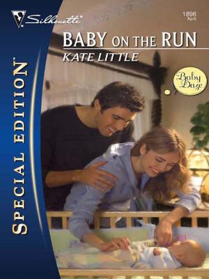 Cover of the book Baby on the Run by Laurie Paige