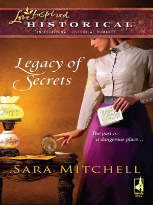 Book cover of Legacy of Secrets