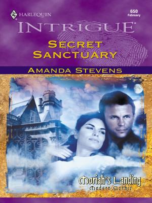 Cover of the book Secret Sanctuary by Paula Roe, Joanna Sims