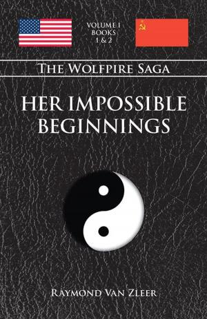 Cover of the book Her Impossible Beginnings by Cormac G. McDermott