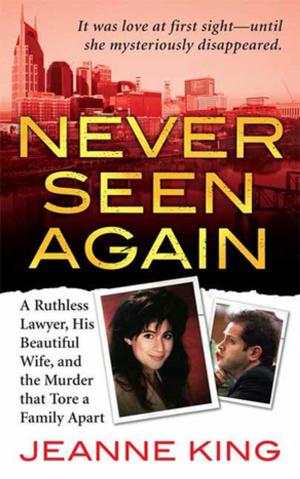 Cover of the book Never Seen Again by Isabelle Steiger