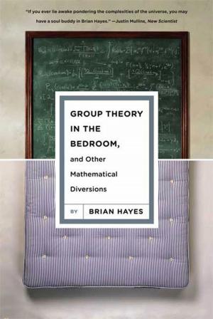 Cover of the book Group Theory in the Bedroom, and Other Mathematical Diversions by Elie Wiesel