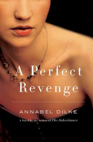 Cover of the book A Perfect Revenge by Jessica Fellowes