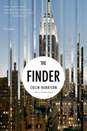 Book cover of The Finder