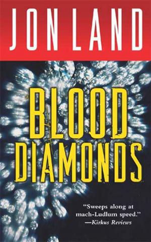 Cover of the book Blood Diamonds by Richard S. Wheeler