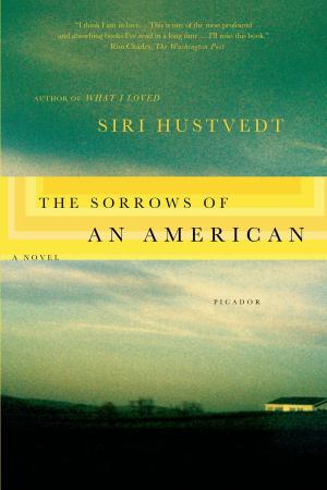 Book cover of The Sorrows of an American