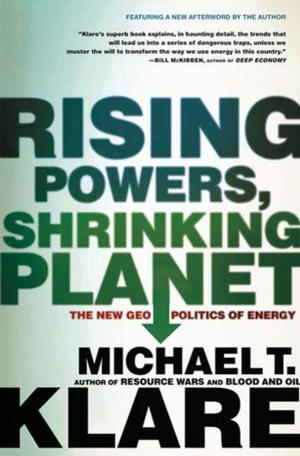 Cover of the book Rising Powers, Shrinking Planet by Andrew Winer