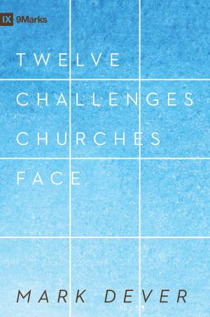 Book cover of 12 Challenges Churches Face