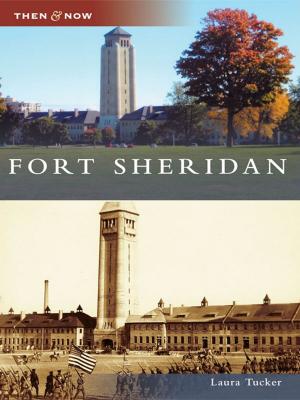 Cover of the book Fort Sheridan by Marcea K. Seible