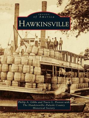 Cover of the book Hawkinsville by Gilbert Historical Society, Dale Hallock, Kayla Kolar, Ann Norbut