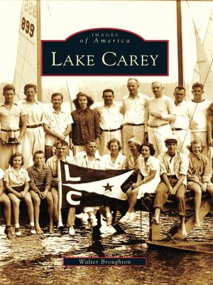 Cover of the book Lake Carey by John Freyer, Mark Rucker