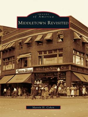 Book cover of Middletown Revisited