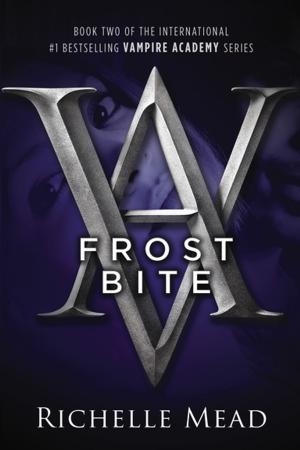 Cover of the book Frostbite by John Flanagan