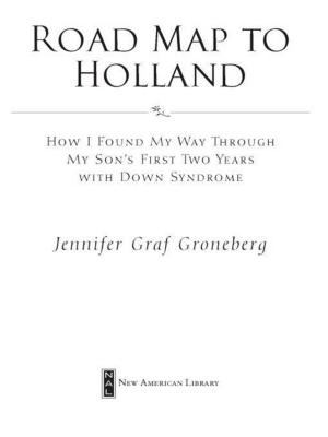 Cover of the book Road Map to Holland by Lee Goldberg