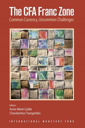 Cover of the book The CFA Franc Zone: Common Currency, Uncommon Challenges by Eduardo Mr. Valdivia-Velarde, Tamara Ms. Razin