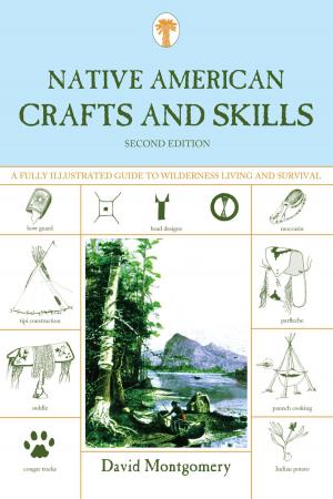 Cover of the book Native American Crafts and Skills by David Stout