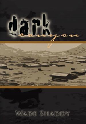 Cover of the book Dark Canyon by Pastor Bob Ruegsegger Sr.