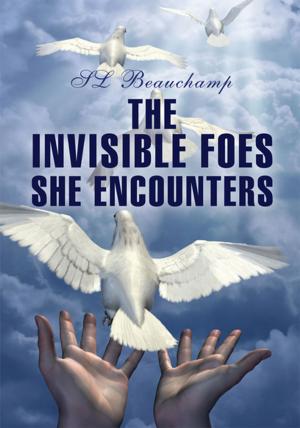 Cover of the book The Invisible Foes She Encounters by Johnnie Sue Bridges