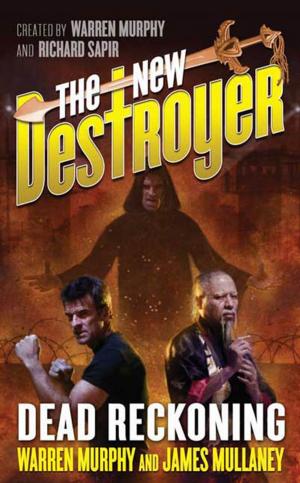 Cover of the book The New Destroyer: Dead Reckoning by W. Bruce Cameron
