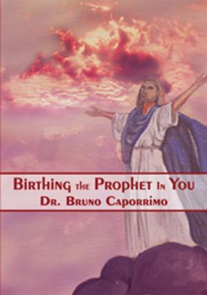 Book cover of Birthing the Prophet in You