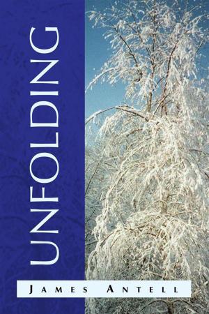 Cover of the book Unfolding by Ellen Jensen-Dean