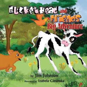 Cover of the book Bucket Head and Friends Big Adventure by George D. Johnson
