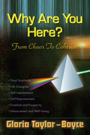 Cover of the book Why Are You Here? by Kato