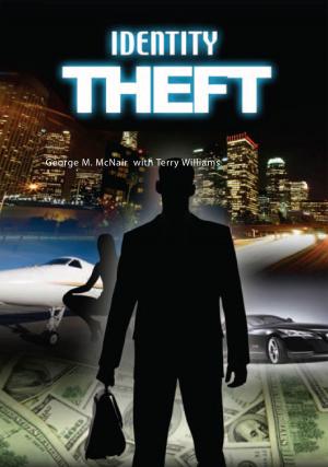 Cover of the book Identity Theft by Merlin Carothers