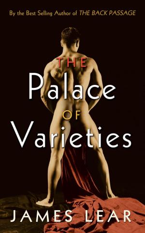 Cover of the book The Palace of Varieties by Heather Rachael Steel